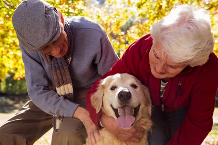 Elderly couple with dog