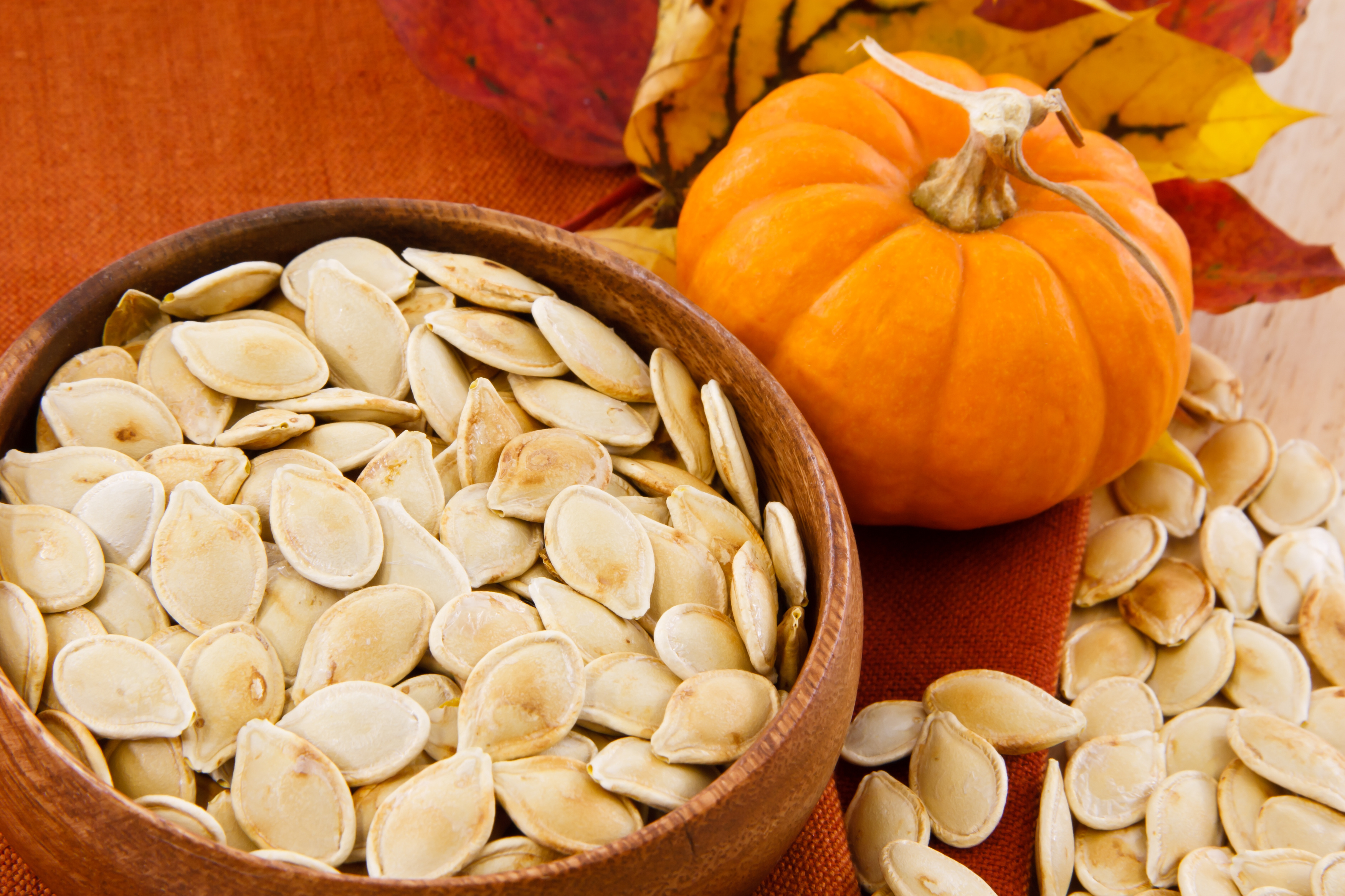 Pumpkin Recipes: Easy Snacks and Recipe Ideas to Enjoy this Fall